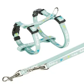 JUNIOR postroj s vodítkom pre šteňatá, mätové M-L: 27-45 cm/10 mm, 2,00 m